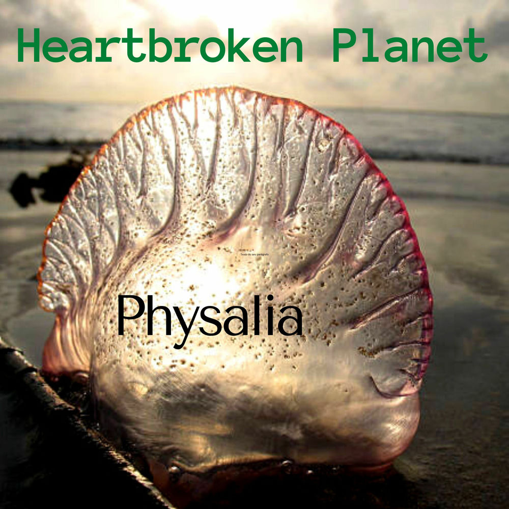 Physalia